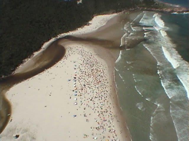Manicaca